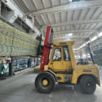 WhatsApp Image 3 WhatsApp Image 3