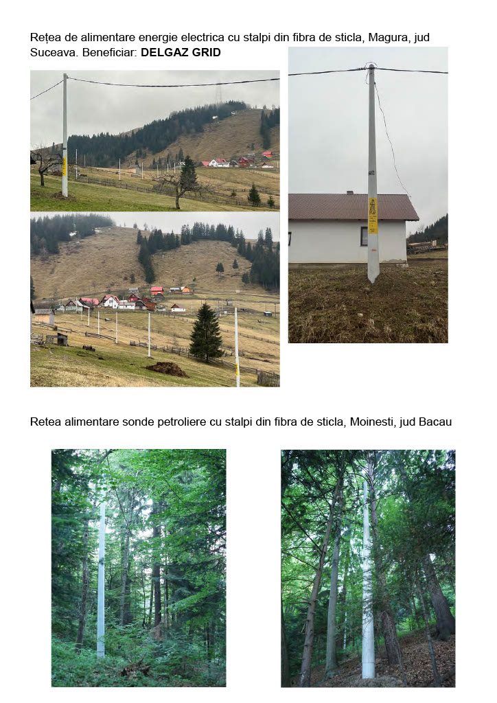 Imagini de la lucrări cu stâlpi_3